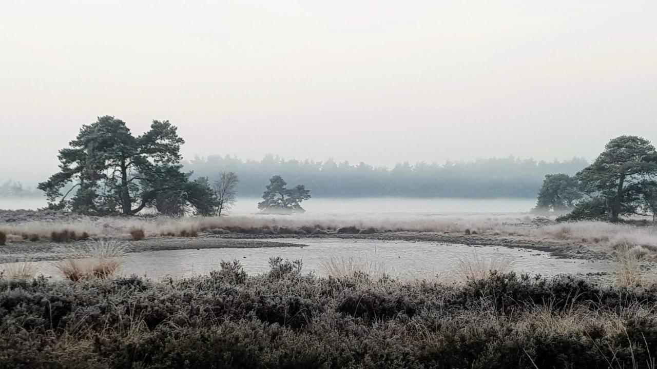 Bed & Breakfast De Heughte Bed & Breakfast Oosterwolde  ภายนอก รูปภาพ